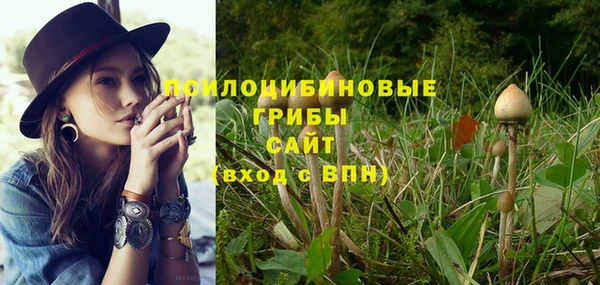 меф Белокуриха