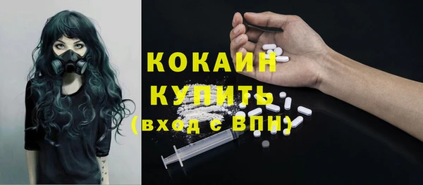 гашик Беломорск