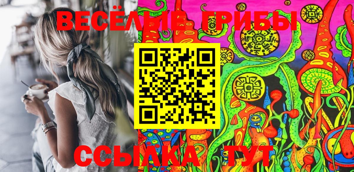 Псилоцибиновые грибы GOLDEN TEACHER  Вход с VPN  Соль-Илецк 