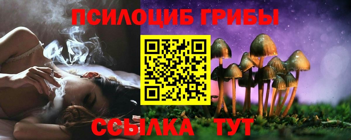 Галлюциногенные грибы GOLDEN TEACHER Соль-Илецк